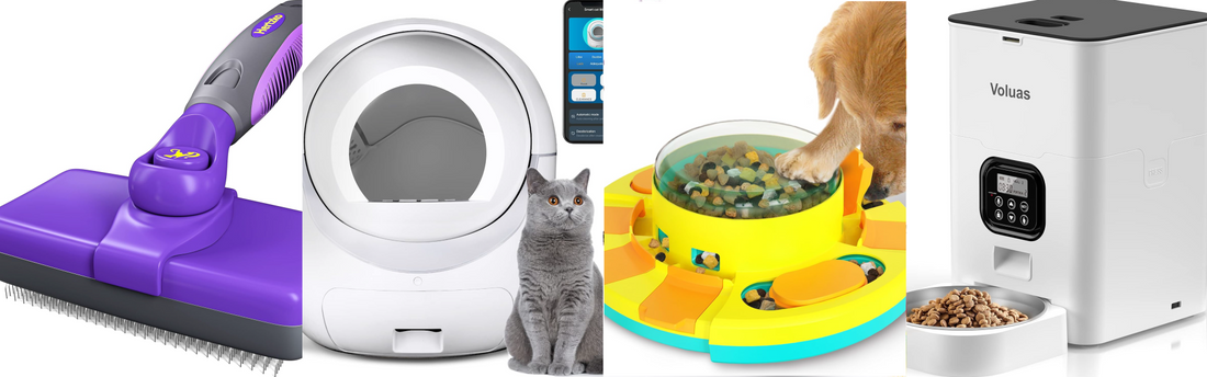 Paws and Play: The Top 10 Must-Have Pet Products Your Furry Friend Will Love