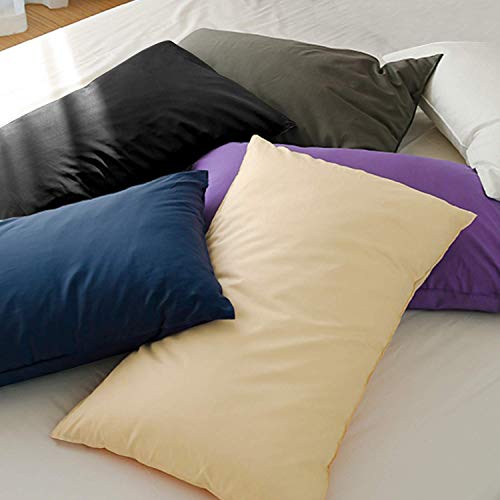 FLXXIE 2 Pack Microfiber Queen Pillow Cases